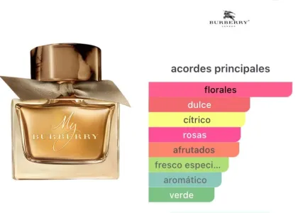 Burberry - My Burberry